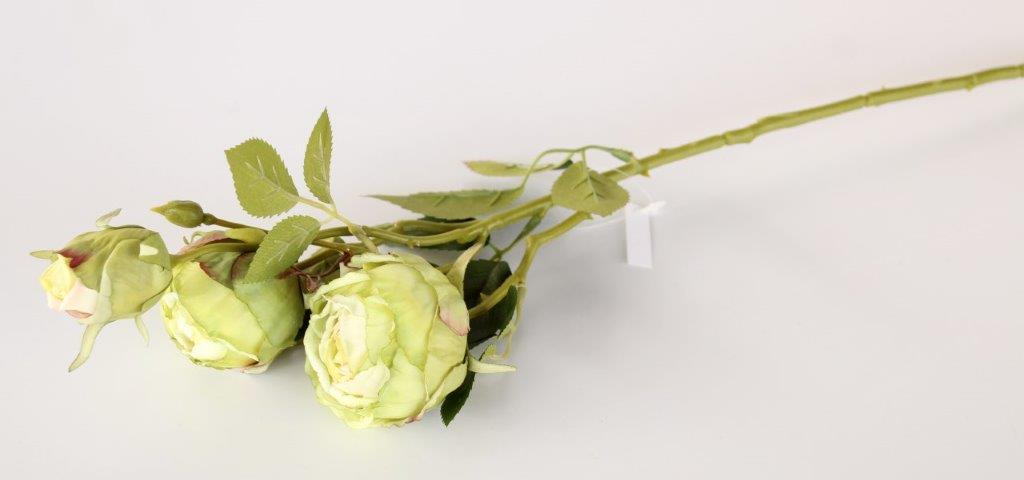 Green Rose 3 Stem Bunch